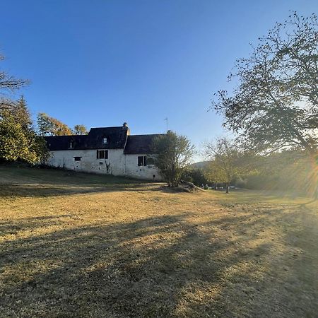 Vila Domaine Du Bonheur En Pierre Avec Piscine, Proche Sarlat Carlux Exteriér fotografie