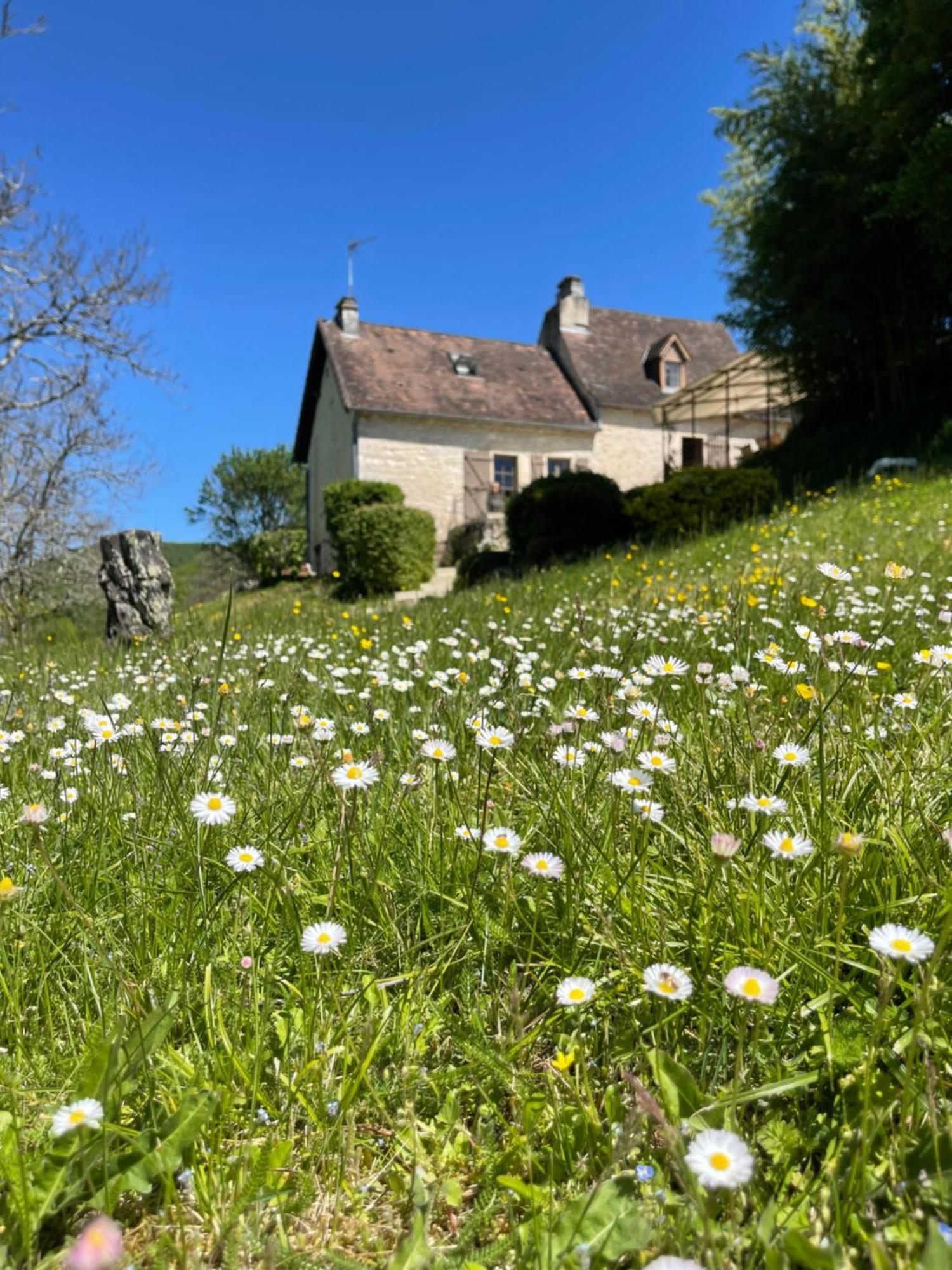Vila Domaine Du Bonheur En Pierre Avec Piscine, Proche Sarlat Carlux Exteriér fotografie